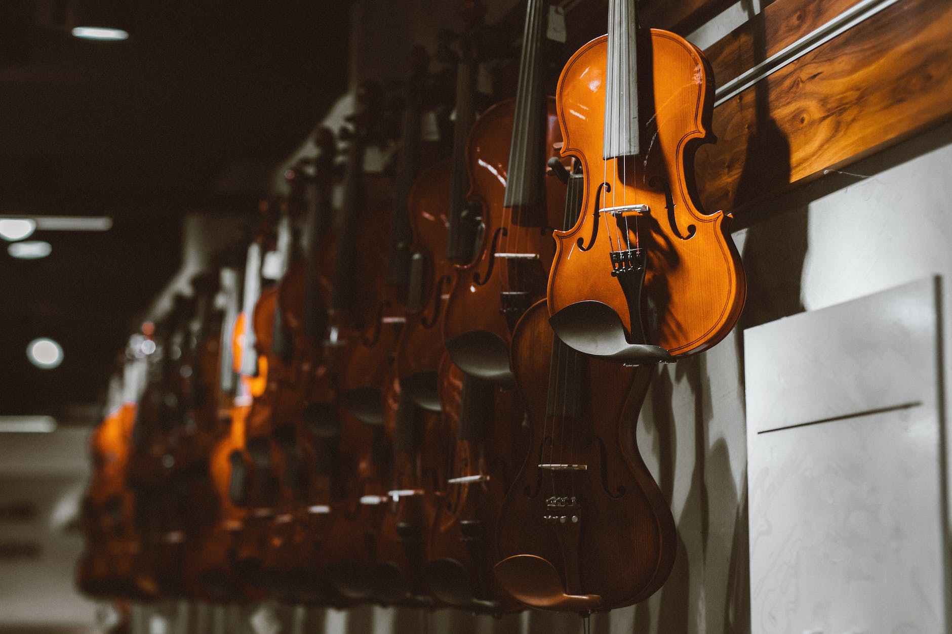 an array of fiddles handing on a wall